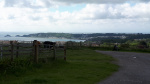 20190608_092952.jpg