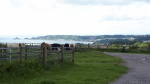 20190608_092956.jpg