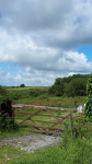 20190608_093317.jpg
