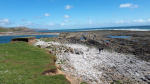 20190608_152434.jpg