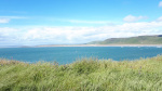 20190608_153153.jpg