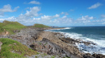 20190608_160825.jpg