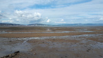20190609_170752.jpg