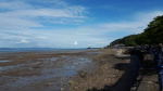 20190609_170755.jpg