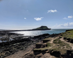 IMG_20190608_171834.jpg